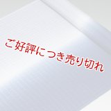 帯揚げ　竪絽半々ぼかし　（05）