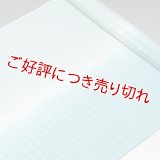 帯揚げ　竪絽半々ぼかし　（03）
