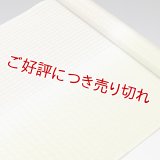 帯揚げ　竪絽半々ぼかし　（02）