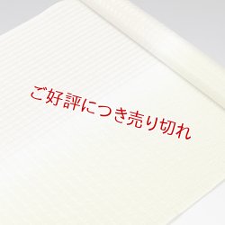 画像1: 帯揚げ　竪絽半々ぼかし　（02）