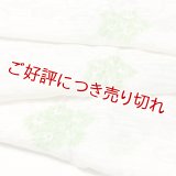 帯揚げ　絽輪出し白地桔梗 　淡萌黄（うすもえぎ）（05）