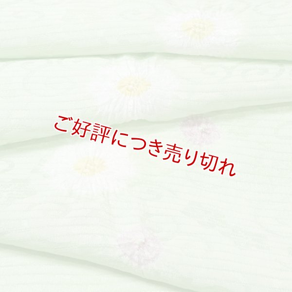 画像1: 帯揚げ　絽輪出し白場取り菊花 　夏虫色（なつむしいろ）（04） (1)