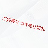 帯揚げ　絽青海波に千鳥ぼかし　（05）