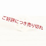 象牙根付　れんこん（象牙）（C）（2025年9月6日掲載）