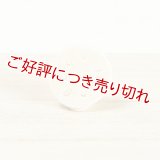 象牙根付　れんこん（象牙）（A）（2025年9月6日掲載）