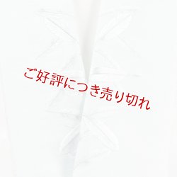 画像1: 刺繍半襟　羽根　ブルー（01）