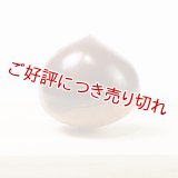 黄楊根付　栗（虫入り）【岡壱名入り】【桐箱付き】（2025年9月27日掲載）