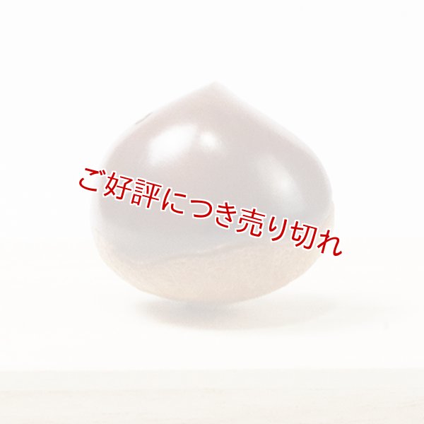 画像1: 黄楊根付　栗（虫入り）【岡壱名入り】【桐箱付き】（2025年9月27日掲載） (1)