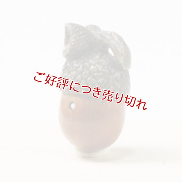 画像1: 黄楊根付　団栗（虫入り）【岡壱名入り】【桐箱付き】（2025年9月27日掲載） (1)