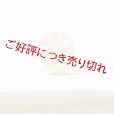 黄楊根付　れんこん（象牙）（A）（2025年10月27日掲載）