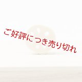 黄楊根付　れんこん（象牙）（C）（2025年10月27日掲載）