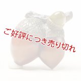 黄楊帯留め　団栗双子【岡壱名入り】 【桐箱付き】