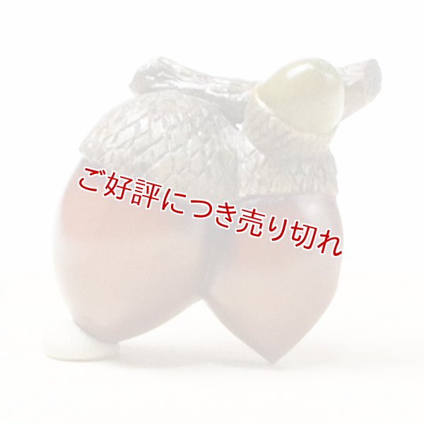 画像1: 黄楊帯留め　団栗双子【岡壱名入り】 【桐箱付き】（2025年11月4日掲載） (1)