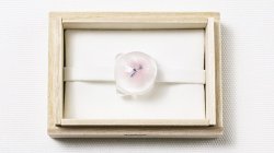 画像1: ガラス帯留め　ラウンドフラワー（22）