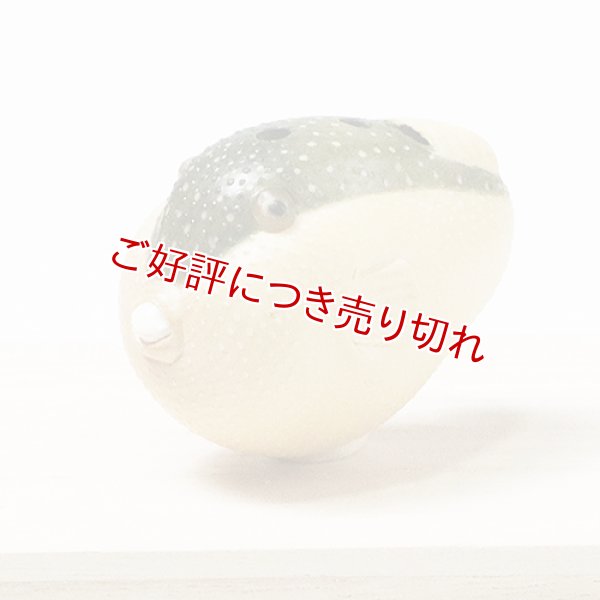 画像1: 黄楊根付　河豚【岡壱名入り】【桐箱付き】（2025年12月8日掲載） (1)