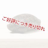 黄楊根付　亀【岡壱名入り】（2025年12月8日掲載） ※桐箱付き