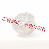黄楊根付　蓮（中）【岡壱名入り】（2025年12月8日掲載） ※桐箱付き