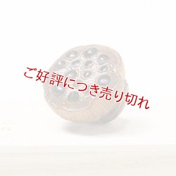 画像1: 黄楊根付　蓮（中）【岡壱名入り】（2025年12月8日掲載） ※桐箱付き