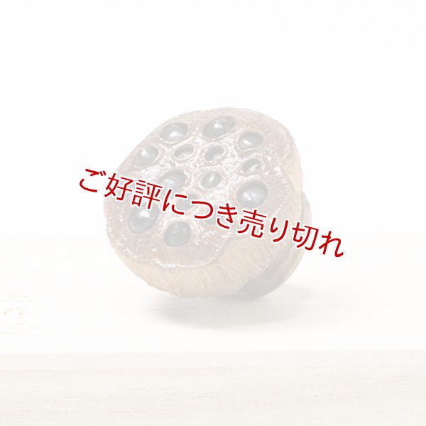 画像1: 黄楊根付　蓮（中）【岡壱名入り】（2025年12月8日掲載） ※桐箱付き (1)