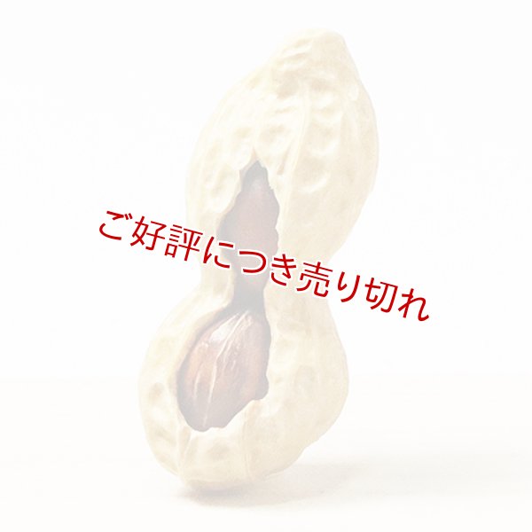 画像1: 黄楊根付　落花生 2個実入り【岡壱名入り】【桐箱付き】（2025年12月10日掲載） (1)