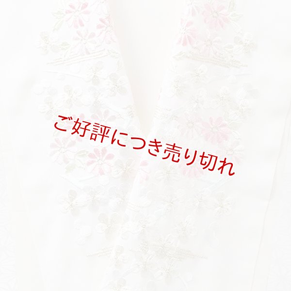 画像1: ポリエステル刺繍半襟　【7000円】（58） (1)