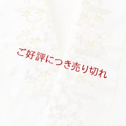 画像1: ポリエステル刺繍半襟　【7000円】（57）