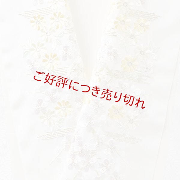 画像1: ポリエステル刺繍半襟　【7000円】（57） (1)
