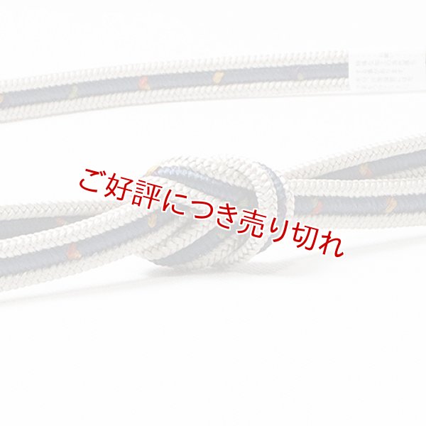 画像1: 帯締め　洋角鴨川三本合わせ正倉院　（04） (1)