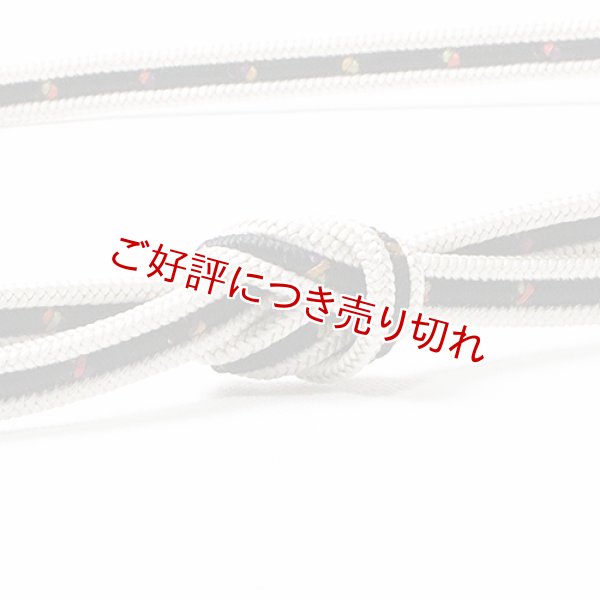 画像1: 帯締め　洋角鴨川三本合わせ正倉院　（09） (1)