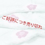 帯揚げ　輪出し白場取り小花　白藍（しらあい）／梅紫（うめむらさき）（42）