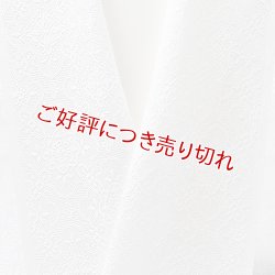 画像1: 白半襟　柄　正絹 風通三重織　華紋詰（はなもんづめ）