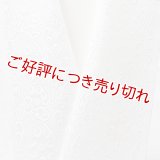白半襟　柄　正絹 風通三重織　波模様に亀甲（なみもようにきっこう）