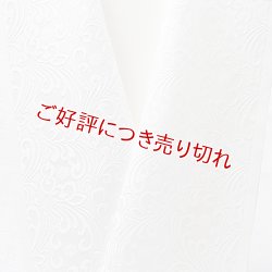 画像1: 白半襟　柄　正絹 風通三重織　波模様に亀甲（なみもようにきっこう）