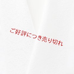 画像1: 白半襟　柄　正絹 風通三重織　カテドラル