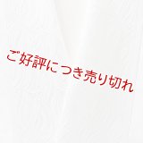 白半襟　柄　正絹 風通三重織　万年青（おもと）