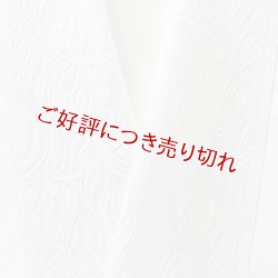 画像1: 白半襟　柄　正絹 風通三重織　万年青（おもと）