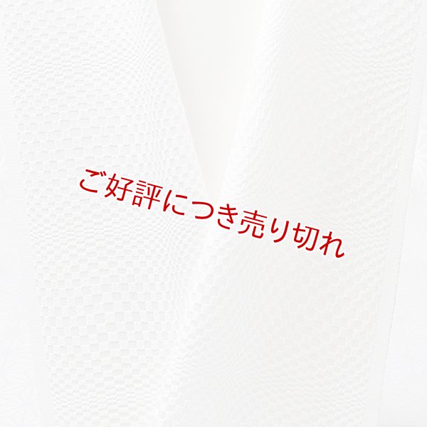画像1: 白半襟　柄　正絹 風通三重織　市松ぼかし（いちまつぼかし） (1)