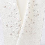 刺繍半襟　明雲小花　オフホワイト地（02）