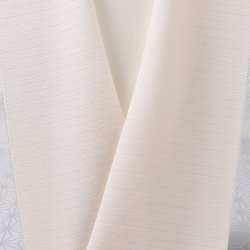 画像1: 半襟　絽塩瀬無地　サモンピンク（01）