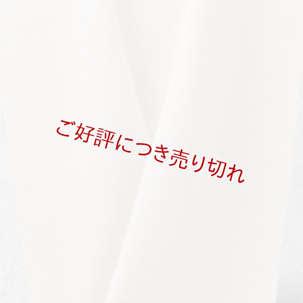 画像1: 半襟　絽塩瀬無地　サモンピンク（01） (1)