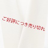 半襟　絽塩瀬無地　白橡（しろつるばみ）（04）