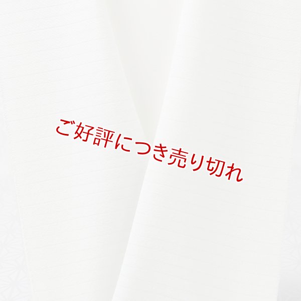 画像1: 半襟　絽塩瀬無地　白緑（びゃくろく）（24） (1)