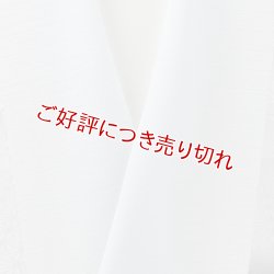 画像1: 半襟　絽塩瀬無地　藍白（あいじろ）（06）