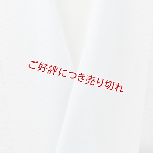 画像1: 半襟　絽塩瀬無地　藍白（あいじろ）（06） (1)