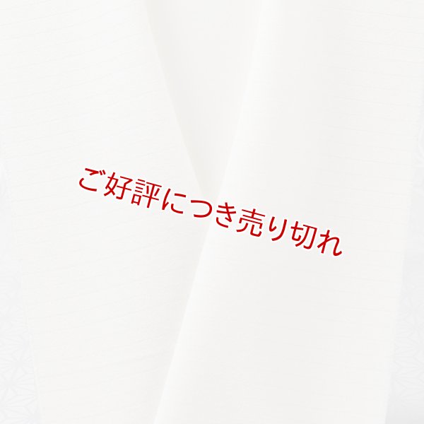 画像1: 半襟　絽塩瀬無地　オフホワイト（02） (1)