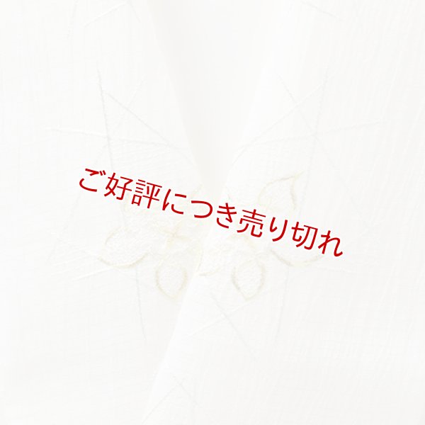 画像1: 半襟　麻絽 刺繍いろいろ　（08） (1)