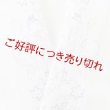 半襟　麻絽 刺繍いろいろ　（13）
