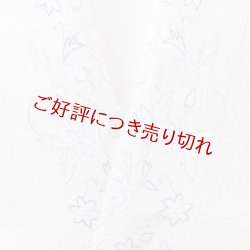 画像1: 半襟　麻絽 刺繍いろいろ　（13）