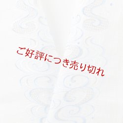 画像1: 半襟　麻絽 刺繍いろいろ　（12）