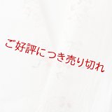 半襟　麻絽 刺繍いろいろ　（06）